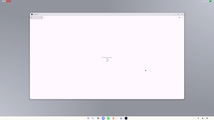 ... und lädt anschließend nicht mehr. Wir müssen die Entwicklerumgebung jedes Mal neu aktivieren, was alle installierten Programme löscht. (Screenshot: Golem.de)